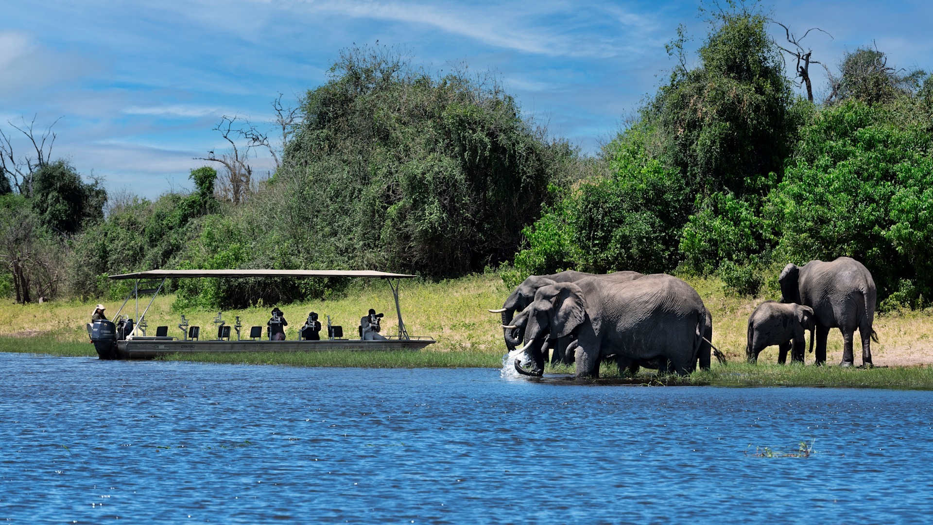 Day 1: Serondella Area, Chobe National Park