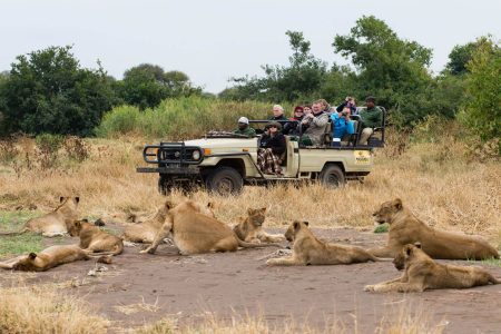 Exceptional Botswana Safari