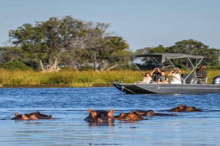 Chobe National Park Day Trip – Kasane, Botswana Tour