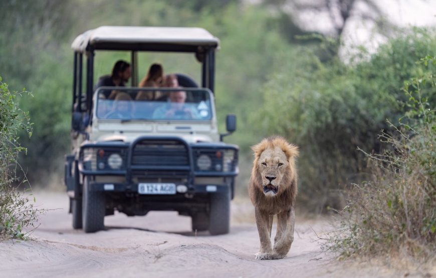 Chobe Chilwero Lodge