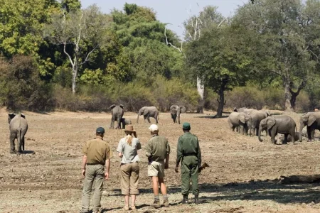 6 Nights – Zambia & Botswana Safari Tour